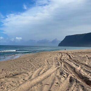 Meet your Posher, Elaine